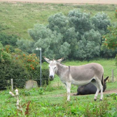 winnieschou@venner.network